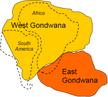 gondwana