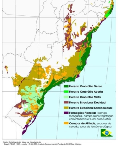 ökosysteme mata atlântica brasilien