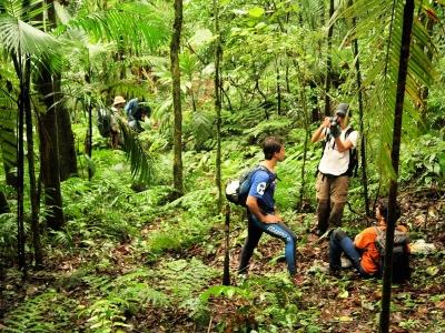 trails wanderwege brasilien regenwald