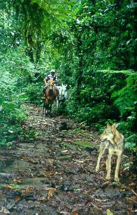 brasilien wanderwege trails entstehung geschichte